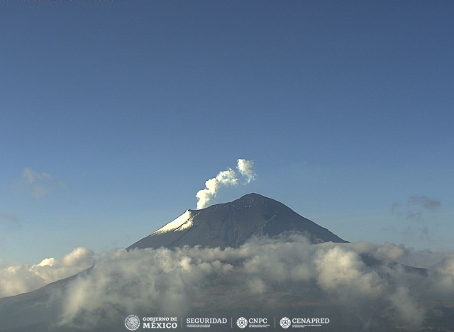 Registra 84 exhalaciones volcán Popocatépetl; se mantiene semáforo amarillo fase 2