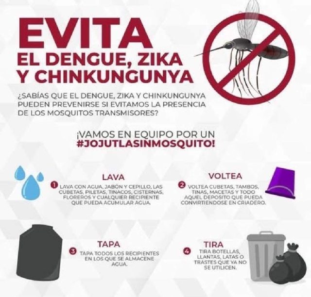 La Secretaría de Salud recomendó cuidarse del dengue si se viaja a zonas tropicales.