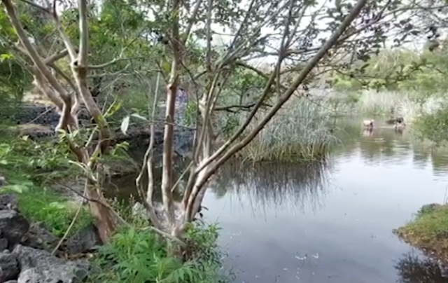 Destinará Ayuntamiento de Jiutepec recursos para la conservación de la laguna de Hueyapan