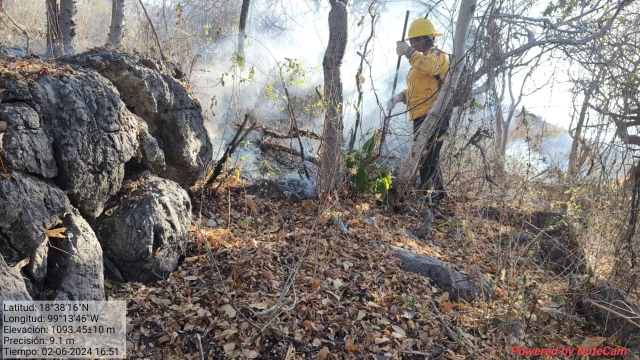 Controlado y liquidado incendio forestal en Cerro del Venado, en Xoxocotla: CEECA
