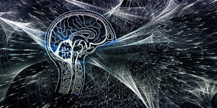 ¿Nuestros cerebros pueden funcionar como computadoras cuánticas?