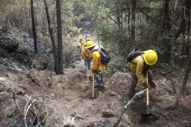 80% de control y 40% de liquidación en incendio forestal en &#039;La Gloria&#039;: EEMI