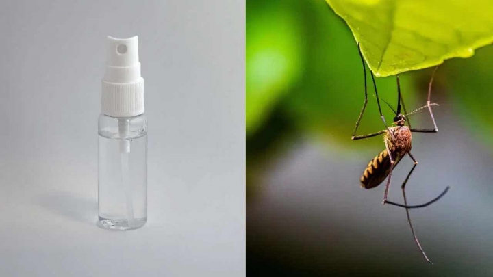 Cómo hacer un repelente de mosquitos casero con 5 ingredientes naturales