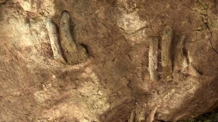 Hallazgo nuevas icnitas de dinosaurio en Laguna de Cameros 