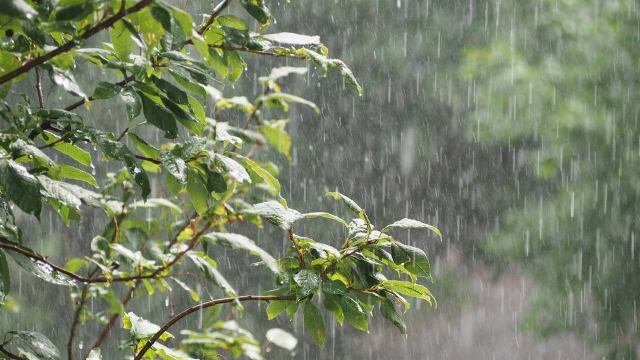 Se prevén precipitaciones en Morelos para tercera semana de junio
