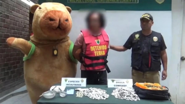 ¡El capibara justiciero! Policía de Perú usa disfraz para atrapar narcotraficante