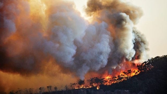 Olas de calor e incendios marcaron cambio climático en Latinoamérica en 2022