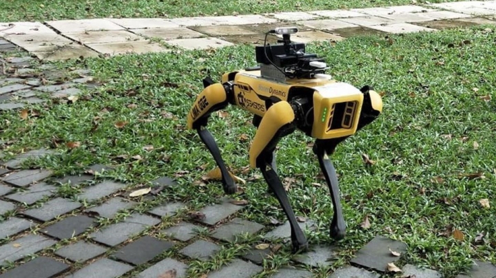 Revolución robótica: &#039;Spot&#039; perro robot, ahora puede hablar
