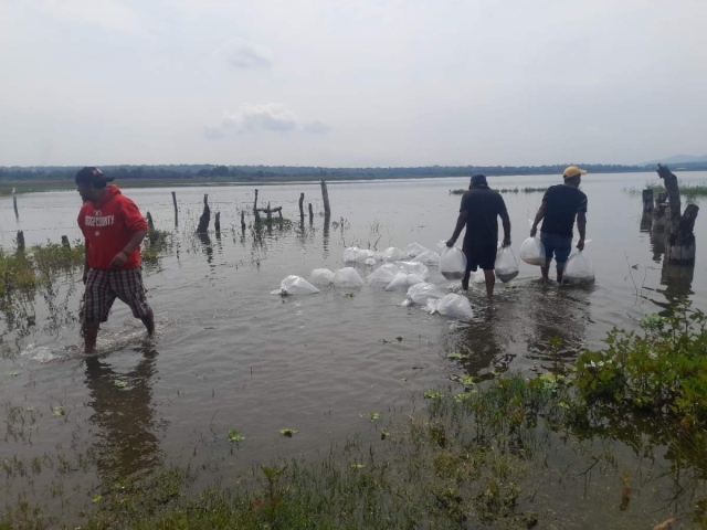 Los pescadores esperan que la siembra mejore su actividad.