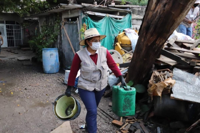 Para este 2025, las autoridades sanitarias recomiendan trabajar con medidas preventivas para disminuir la incidencia del dengue, que en 2024 tuvo efectos “devastadores”.