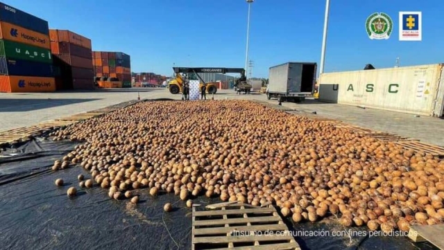 Decomisan un cargamento de 20 mil cocos con cocaína líquida