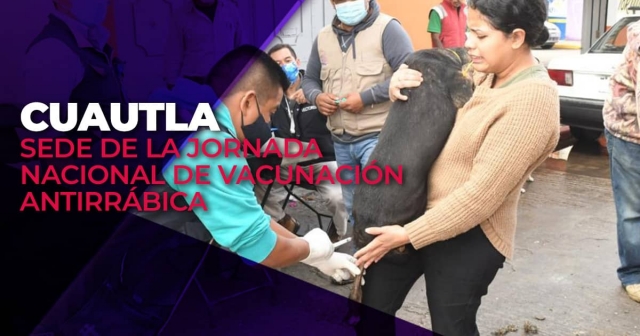 En Cuautla es permanente la campaña de salud animal.
