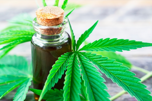 Francia inicia ensayos clínicos para uso medicinal de la marihuana.