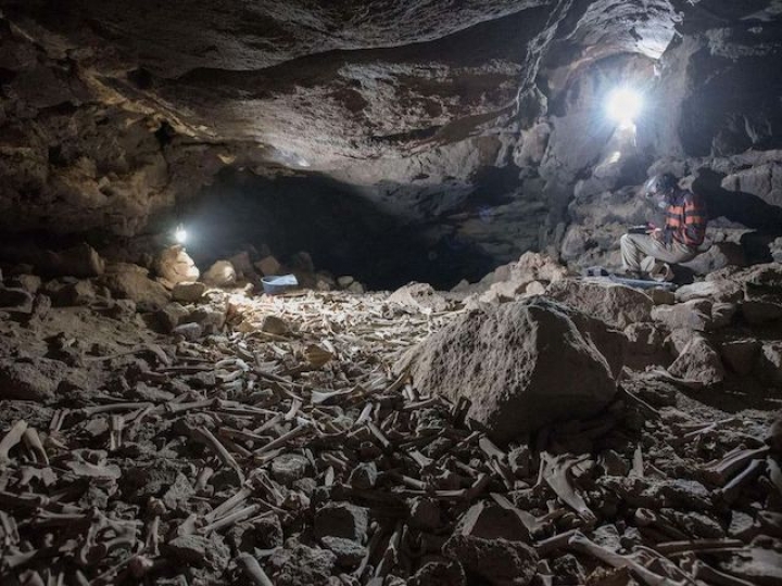 Descubren una misteriosa cueva con restos humanos recopilados por hienas a lo largo de 7,000 años