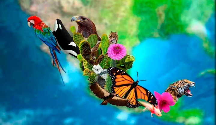 ¿Por qué proteger la diversidad biológica es urgente? Descúbrelo este 22 de mayo