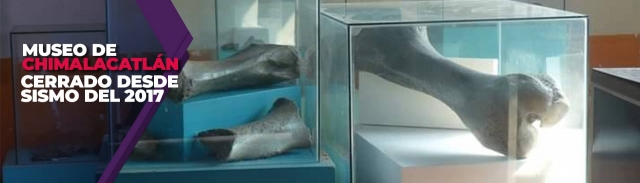  Huesos de mamut, piezas de barro y otros objetos permanecían en el museo que actualmente se encuentra cerrado.