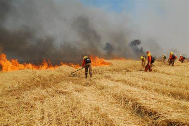 Llaman a evitar quemas agrícolas en el poniente