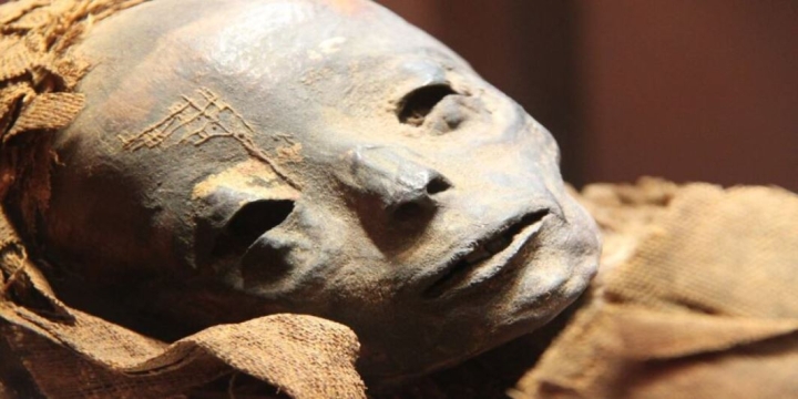 Piojos de momias revelan grandes cosas sobre antiguas civilizaciones