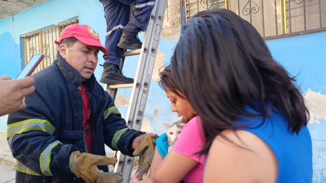 Rescatan bomberos a gatita &#039;Luna&#039;