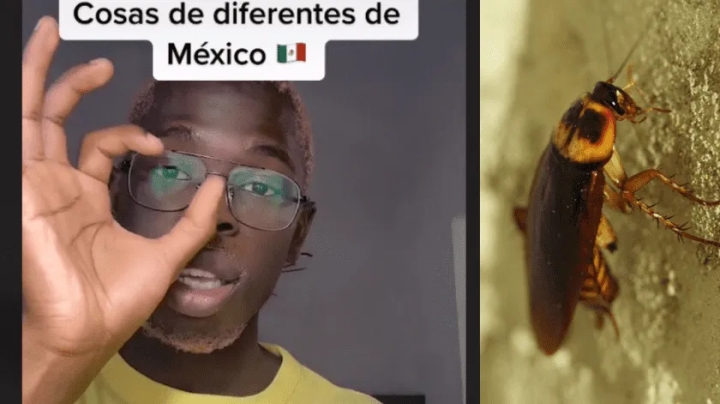 Francés explica las cosas raras de México: ‘Tienen cucarachas que vuelan’