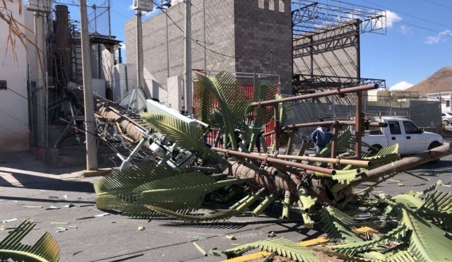 Fuertes ráfagas de viento causaron estragos en Chihuahua