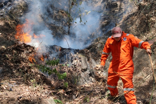 Presenta Propaem denuncia relacionada con incendio forestal en Tepoztlán