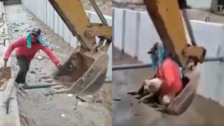 Héroes sin capa: Trabajadores rescataron a un perrito con una excavadora