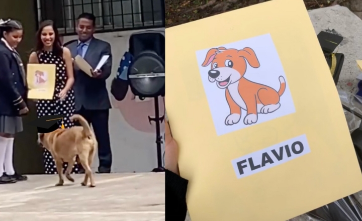 &#039;Flavio&#039;, el fiel compañero, recibe reconocimiento en graduación (VIDEO)