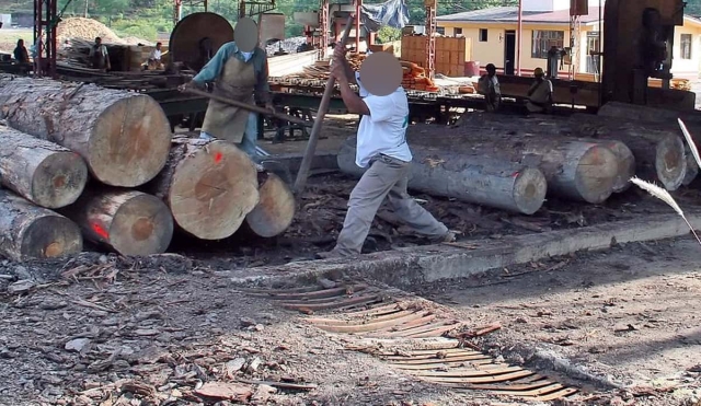 Asegura FGR cinco aserraderos ilegales de madera en Huitzilac