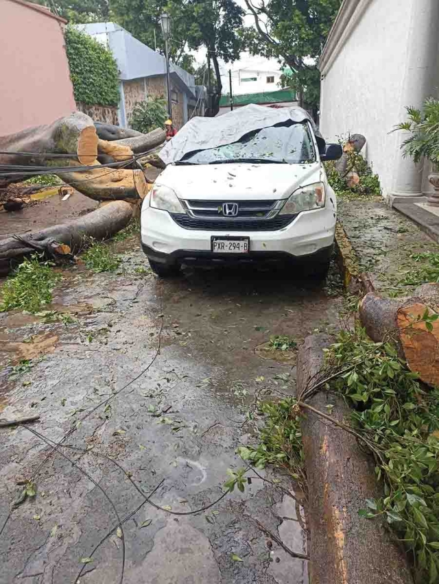 Los bomberos de Cuernavaca atendieron en las últimas horas reportes por árboles y ramas colapsadas por el viento y lluvias. 