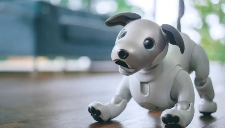 Mascotas del futuro: &#039;Aibo&#039; propone adopción de perros robot