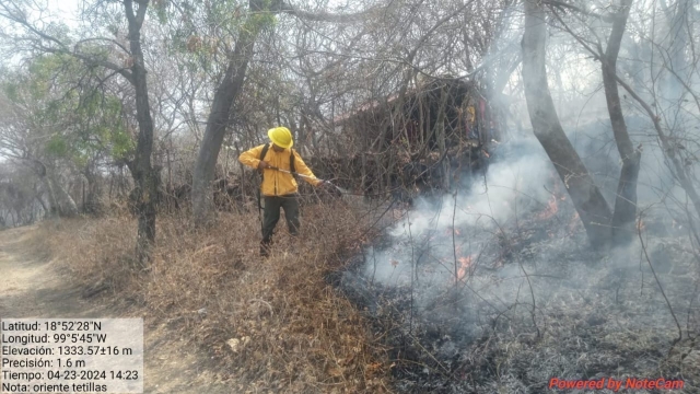 Atendió Mando Unificado dos incendios forestales en Yautepec