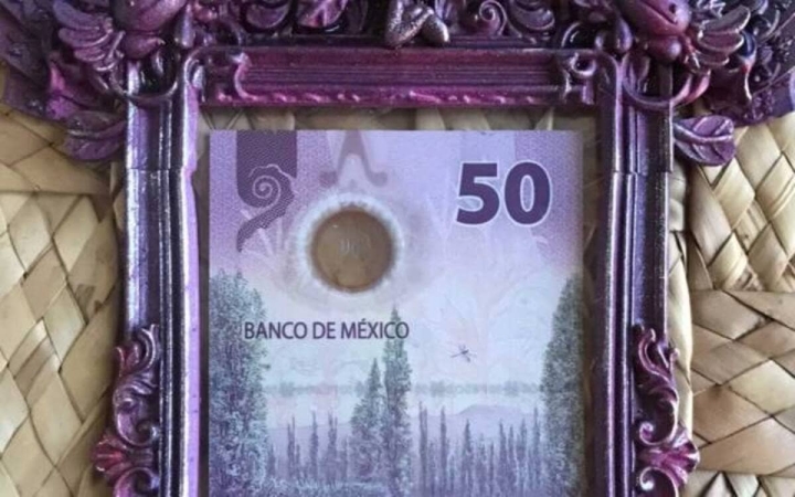 Enmarcan billete de 50 pesos en honor al ajolote