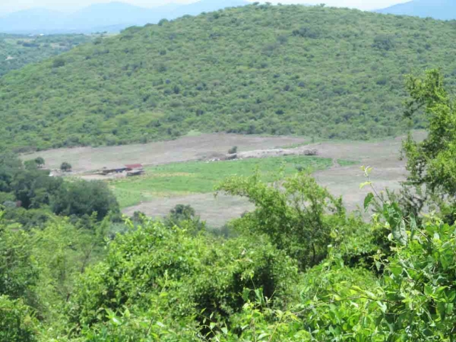    El cerro “De la Tortuga” perdió cuatro hectáreas por cambio de uso del suelo.