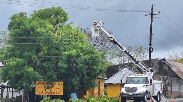 CFE restablece 80% del servicio eléctrico afectado por tormenta ‘Alberto’