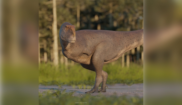 Descubren dinosaurio carnívoro que vivió en Argentina hace 69 millones de años