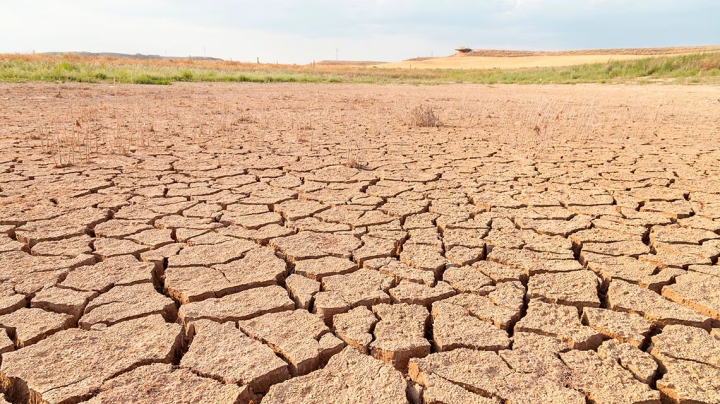 Estudio alerta que las sequías futuras serán más largas de lo previsto