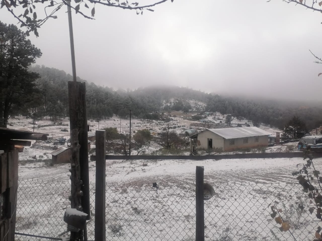 Primera tormenta invernal pinta de blanco el norte de México