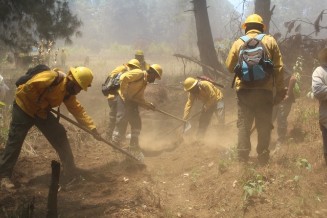 Mantendrá Mando Unificado vigilancia ante incendios forestales en Morelos