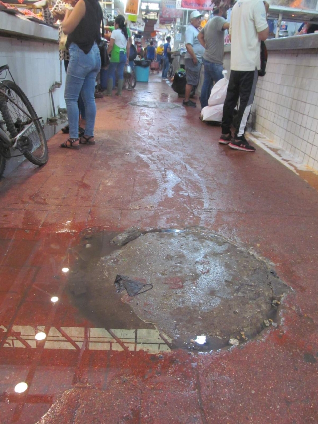 El drenaje del pasillo de carnicerías del mercado se encuentra azolvado y las aguas negras ya brotan sobre el mismo, lo que podría generar un problema de salud, dijo el dirigente.