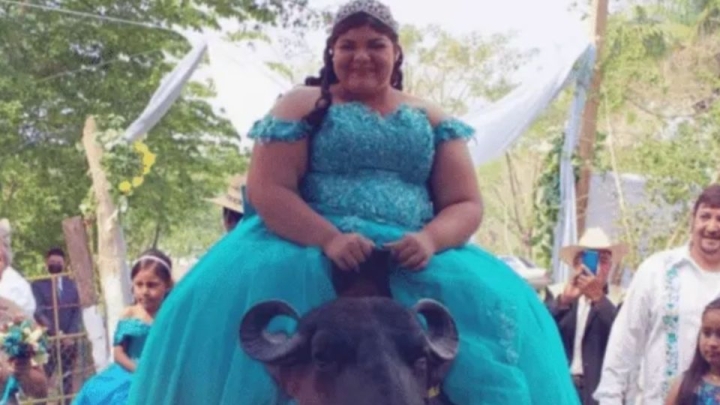 Quinceañera llega a su fiesta montada en un búfalo en Veracruz