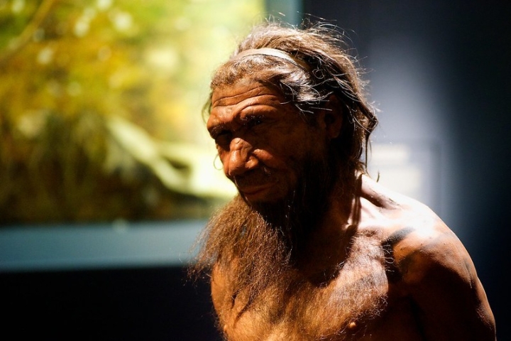 Logran reconstruir cráneo de un neandertal de hace 150,000 años