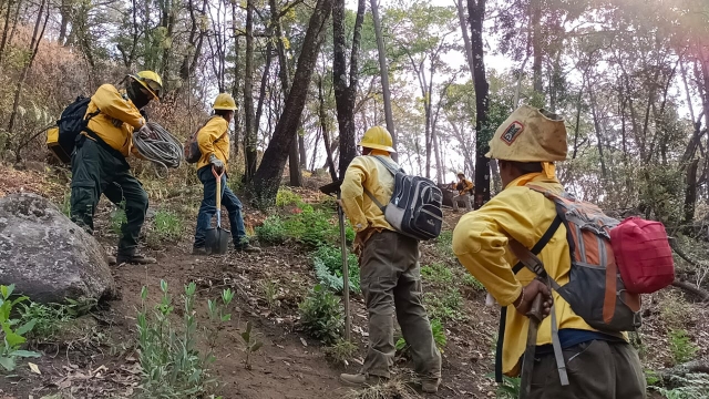 Cuatro incendios forestales activos en Morelos