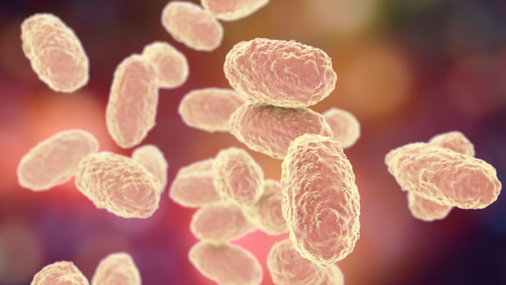 Tosferina: no sólo es un asunto de niños