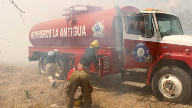 Incendio forestal devasta más de 800 hectáreas en Veracruz