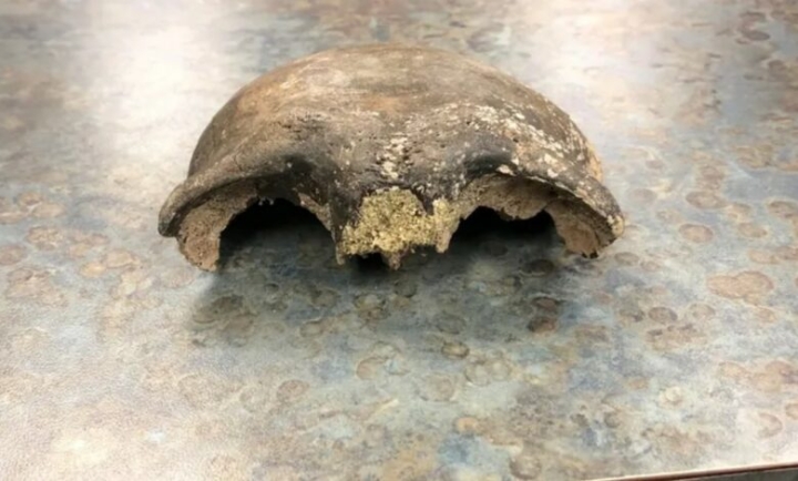 Hallan cráneo humano con antigüedad de 8 mil años