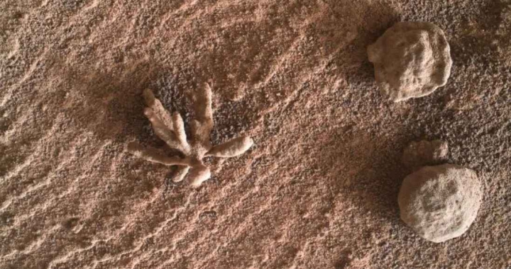 El rover Curiosity capta insólita FOTO de una “flor” de formación mineral en Marte