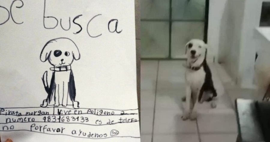 Abuelita recupera a su perrito perdido gracias a un dibujo hecho por su nieta