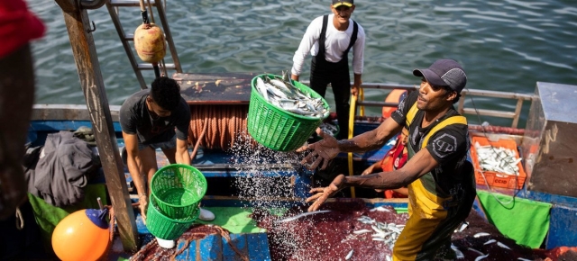 5 de Junio, día internacional de la lucha contra la pesca ilegal