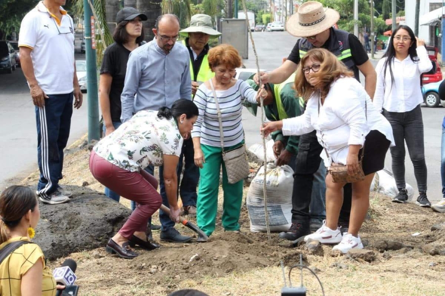 Se suman ciudadanos a jornadas de reforestación urbana en Cuernavaca